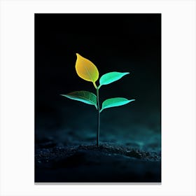 Green Leaf On The Ground Canvas Print