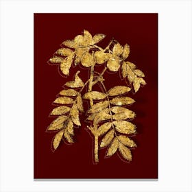 Vintage Service Tree Botanical in Gold on Red n.0611 Canvas Print
