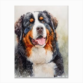 Bernese Mountain Dog Watercolor Painting 3 Canvas Print
