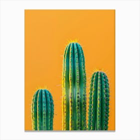 Cactus On A Yellow Background Canvas Print