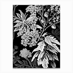 Elderberry Blossom Wildflower Linocut 2 Canvas Print