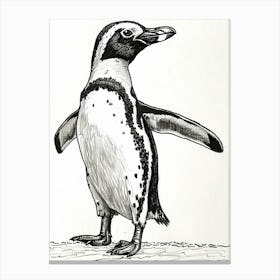 African Penguin Standing On Tiptoes 3 Canvas Print