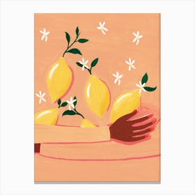 Woman Holding Lemons Canvas Print