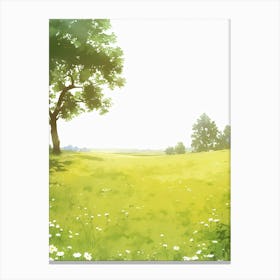 Field Of Daisies Canvas Print