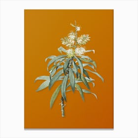 Vintage Pleomele Botanical on Sunset Orange n.0696 Canvas Print