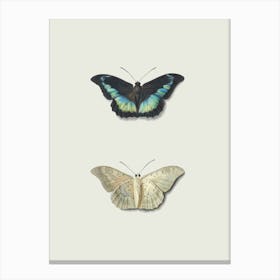 Butterflies Farmhouse Canvas Print