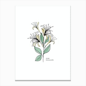June Honeysuckle Birth Flower Canvas Print