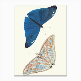 Vintage Painting Blue Butterflies Canvas Print