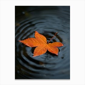 Autumn Leaf In Water Canvas Print