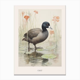 Vintage Bird Drawing Coot 1 Poster Canvas Print