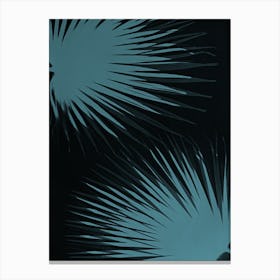 Teal black palm leaves Canvas Print