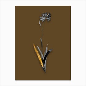 Vintage Corn Lily Black and White Gold Leaf Floral Art on Coffee Brown n.0340 Canvas Print