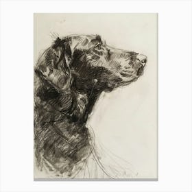 Curly Coated Retriever Dog Charcoal Line 2 Canvas Print