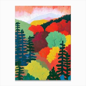 Muir Woods National Park 1 United States Of America Abstract Colourful Canvas Print