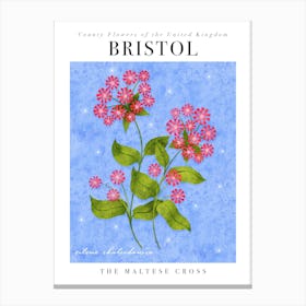 County Flower of Bristol Maltese Cross Canvas Print