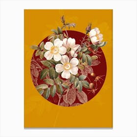 Vintage Botanical White Candolle Rose Rosier de Candolle on Circle Red on Yellow n.0030 Canvas Print