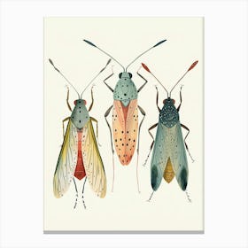 Colourful Insect Illustration Aphid 8 Canvas Print