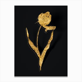 Vintage Didier's Tulip Botanical in Gold on Black n.0465 Canvas Print