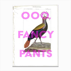 Oooo Fancy Pants Vintage Bird Canvas Print