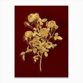 Vintage Burgundian Rose Botanical in Gold on Red n.0022 Canvas Print