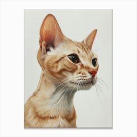 Oriental Shorthair Cat Painting 1 Canvas Print