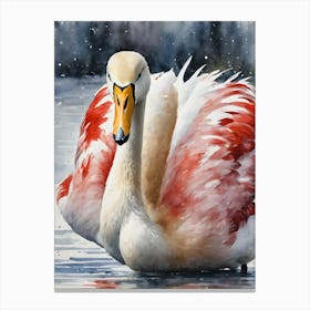 Whooper Swan Canvas Print