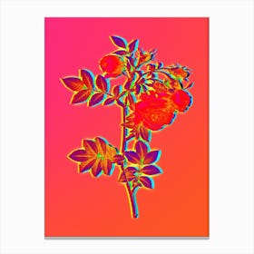 Neon Turnip Roses Botanical in Hot Pink and Electric Blue n.0069 Canvas Print