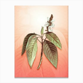 Malabar Nut Vintage Botanical in Peach Fuzz Seigaiha Wave Pattern n.0285 Canvas Print