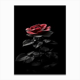 Black Rose 15 Canvas Print