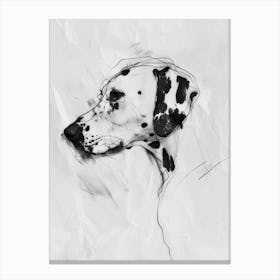 Dalmation Dog Charcoal Line 4 Canvas Print