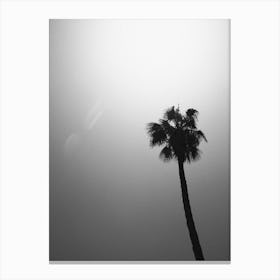 Palm Tree Print 1 Canvas Print