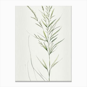 White Willow Herb Minimalist Watercolour 3 Canvas Print