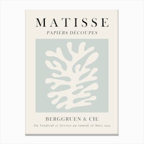 Matisse organic floral 5 Canvas Print