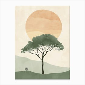 Acacia Tree Minimal Japandi Illustration 3 Canvas Print