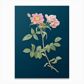 Vintage Lady Monson Rose Bloom Botanical Art on Teal Blue n.0076 Canvas Print
