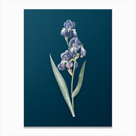 Vintage Dalmatian Iris Botanical Art on Teal Blue n.0765 Canvas Print