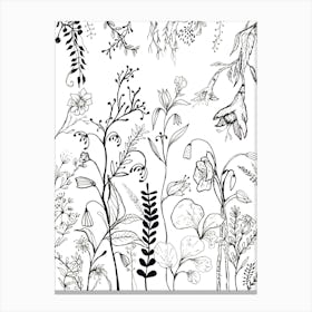 Flowers In Black And White Line Art Canvas Print