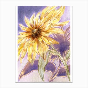 Sunflower Yellow Flowers Canvas Print