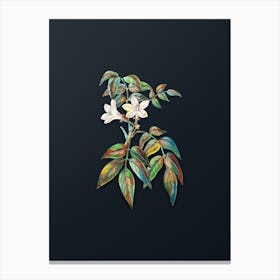 Vintage Turraea Pinnata Flower Botanical Watercolor Illustration on Dark Teal Blue n.0618 Canvas Print