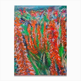 Aloes On Canvas Canvas Print