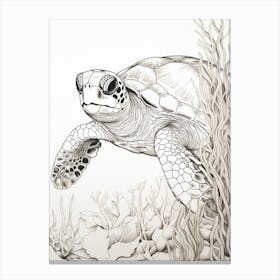 Simple Black & White Line Drawing Of Sea Turtle Behind Seagrass Canvas Print