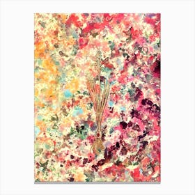 Impressionist Autumn Squill Botanical Painting in Blush Pink and Gold n.0040 Canvas Print