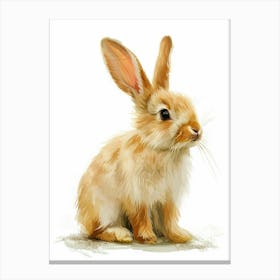 Mini Lop Rabbit Nursery Painting 2 Canvas Print