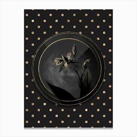 Shadowy Vintage Bandana of the Everglades Botanical in Black and Gold n.0073 Canvas Print