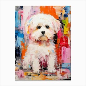 Maltese Canvas Print