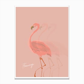 Flamingo Shadow Canvas Print