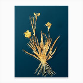 Vintage Yellow Eyed Grass Botanical in Gold on Teal Blue n.0079 Canvas Print