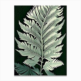 Silver Cloak Fern 1 Vintage Botanical Poster Canvas Print