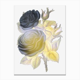 Black Roses 1 Canvas Print