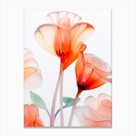 Chinese Glass Flowers Canvas Print